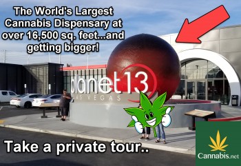Planet 13 Las Vegas - The Largest Dispensary in the World