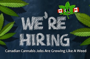 Canadian Cannabis Jobs Are Growing Like A Weed