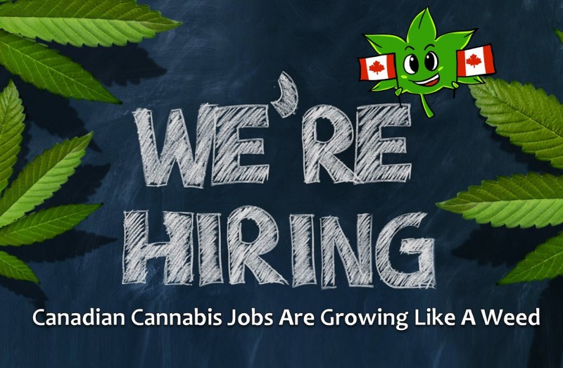 Canadian Cannabis Jobs