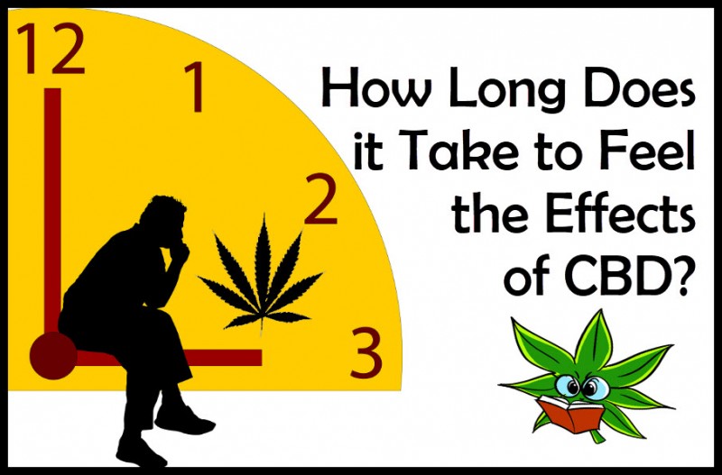 how long does cbd take to feel something