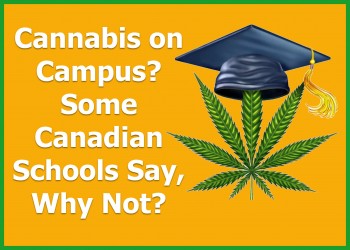 Cannabis on Campus? Some Canadian Schools Say, Why Not?
