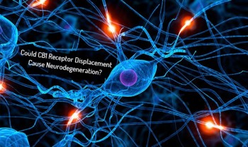 Could CB1 Receptor Displacement Cause Neurodegeneration?