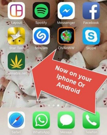 Cannabis App For The IPhone and Android Now Live