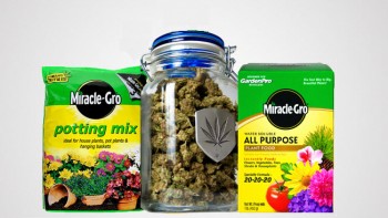 ScottsMiracle-Gro Can't Get Enough of the Weed Industry, Invests $150mil in New Cannabis Ventures