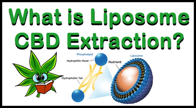Liposome CBD extraction
