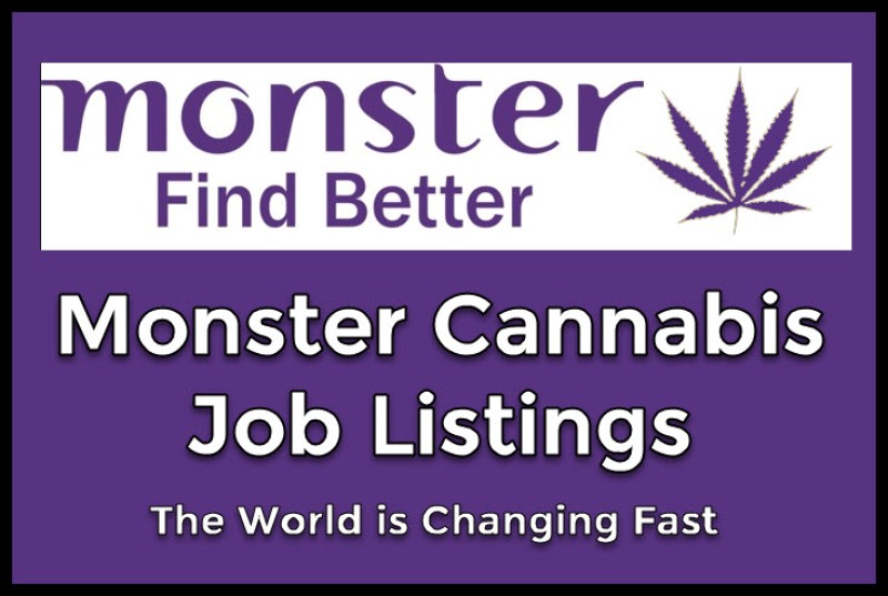 Monster Cannabis Jobs