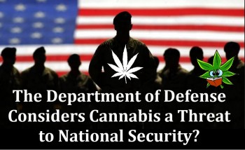 The Department of Defense Considers Cannabis a Threat to National Security?