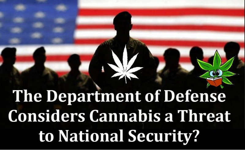 cannabis national security threat