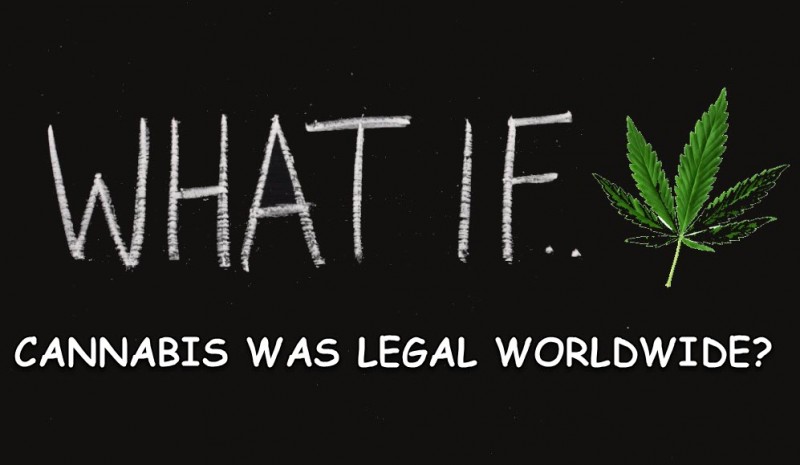 cannabis legal worldwide
