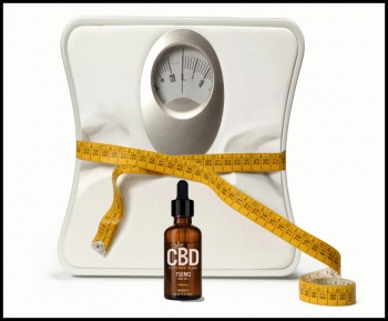 The Complete Guide to CBD and Weight Loss - An Expert Perspective