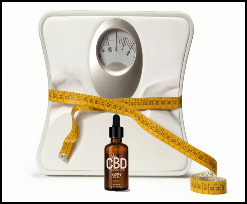CBD for losing weight
