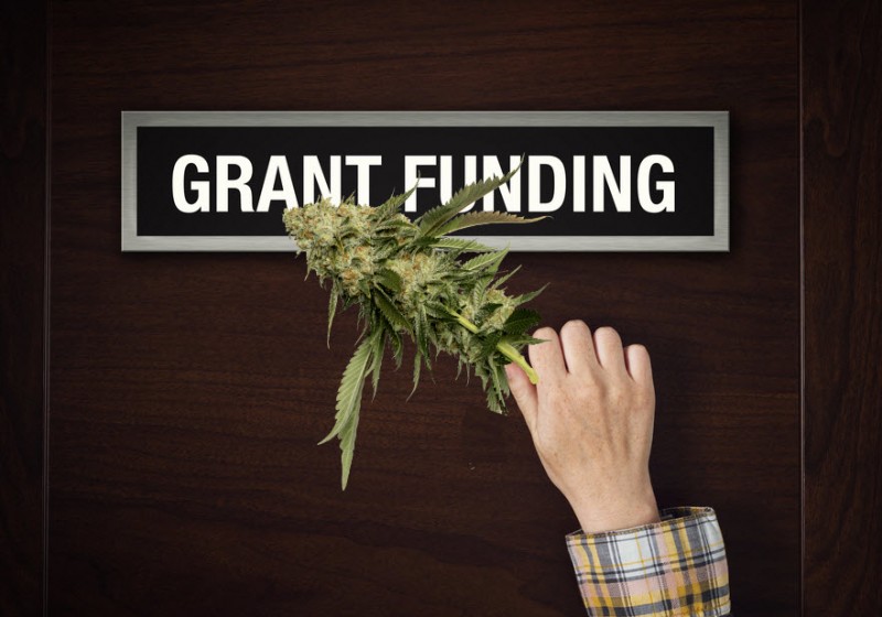 cannabis grants for the environment