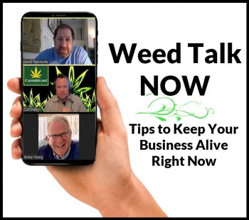 Tips to Keep Your Business Afloat Right Now - Weed Talk Now