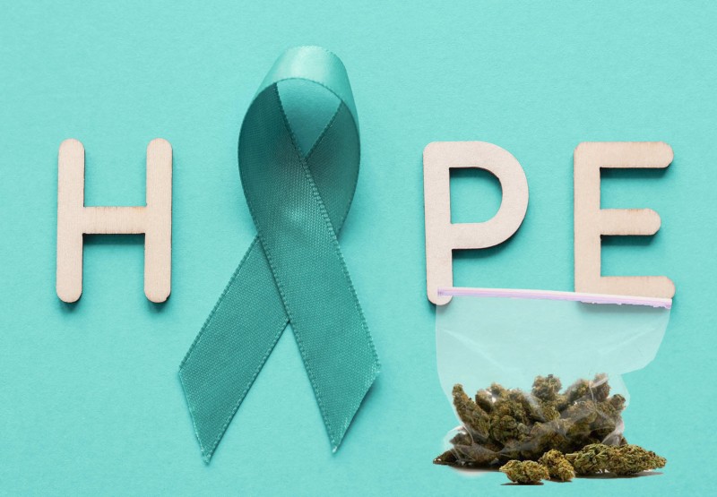cannabis for ovarian cancer studies