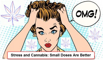 Stress and Cannabis: Small Doses Are Better