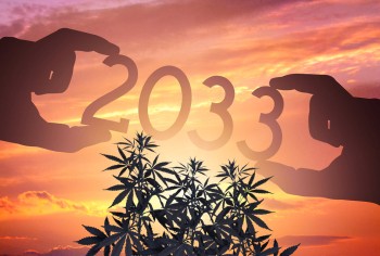 Marijuana Legalization Will Most Likely Happen in 2033 - Analysis of the American Political Landscape