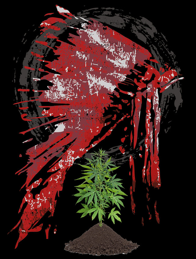 Shinnecock Tribe and TILT Holdings end cannabis partnership