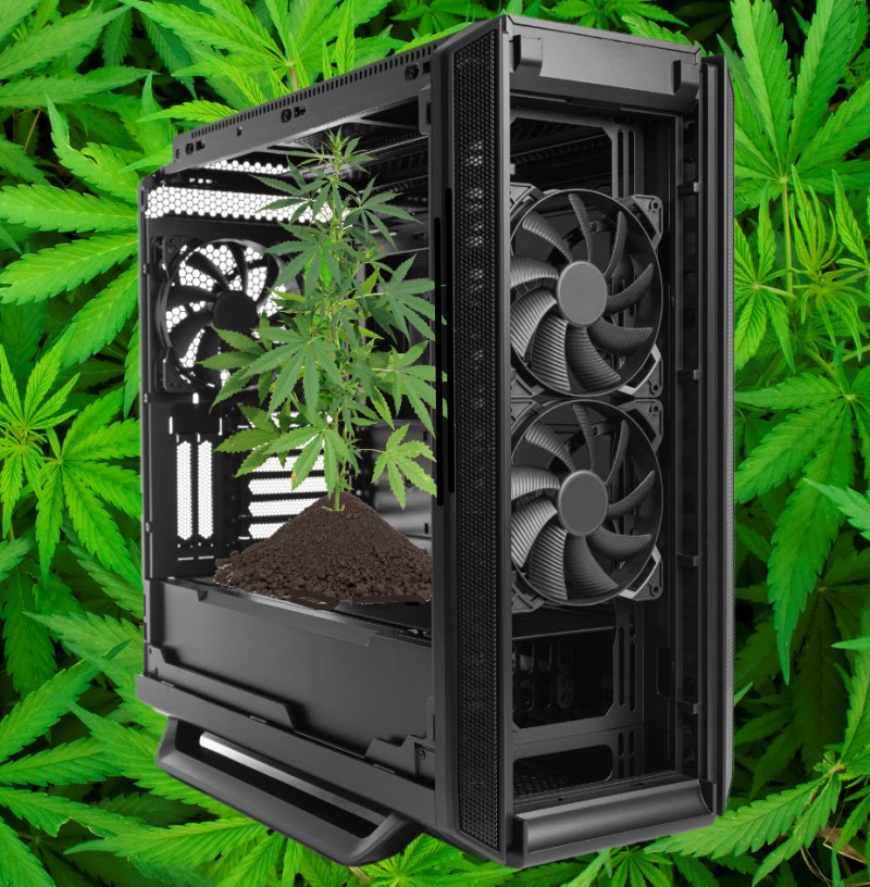 growing weed in a computer tower