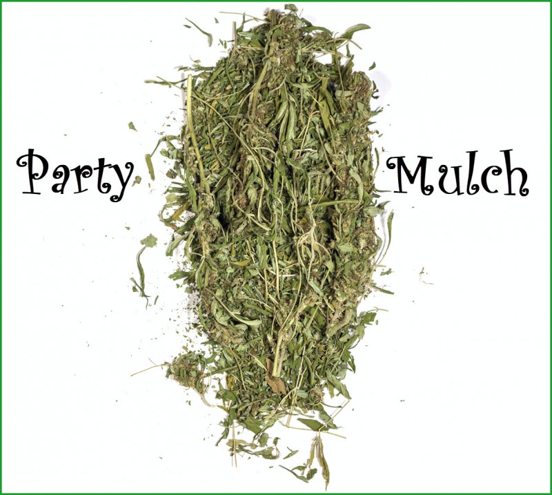 party mulch cannabis