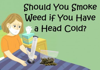Should You Smoke Weed if You Have a Head Cold?