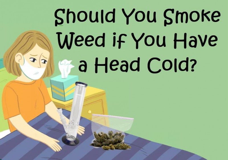 cannabis for a head cold sickness