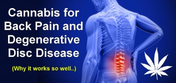 Cannabis for Back Pain And Degenerative Disc Disease