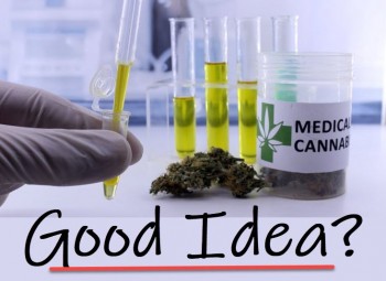 Marijuana Testing Labs Are Hot!  Wait, What Is A Cannabis Testing Lab, Anyway?