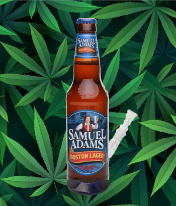 Sam Adams Ganja IPA? Weed Winter Brew? - Massive Cannabis Company Asks Boston Beer Company to Buy Them!