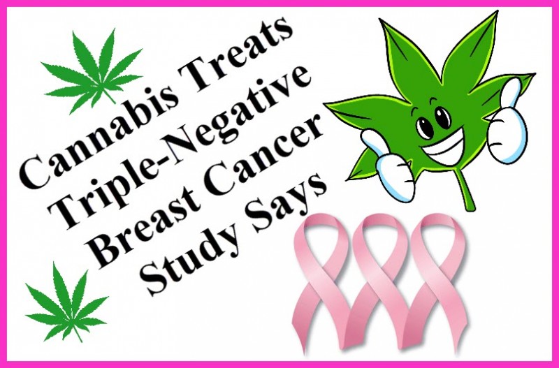 cannabis for triple negative breast cancer