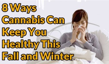 8 Ways Cannabis Can Keep You Healthy This Fall and Winter