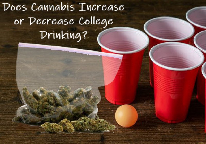 does cannabis increase or decrease college drinking