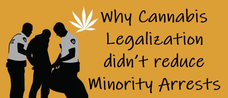 minority arrests cannabis
