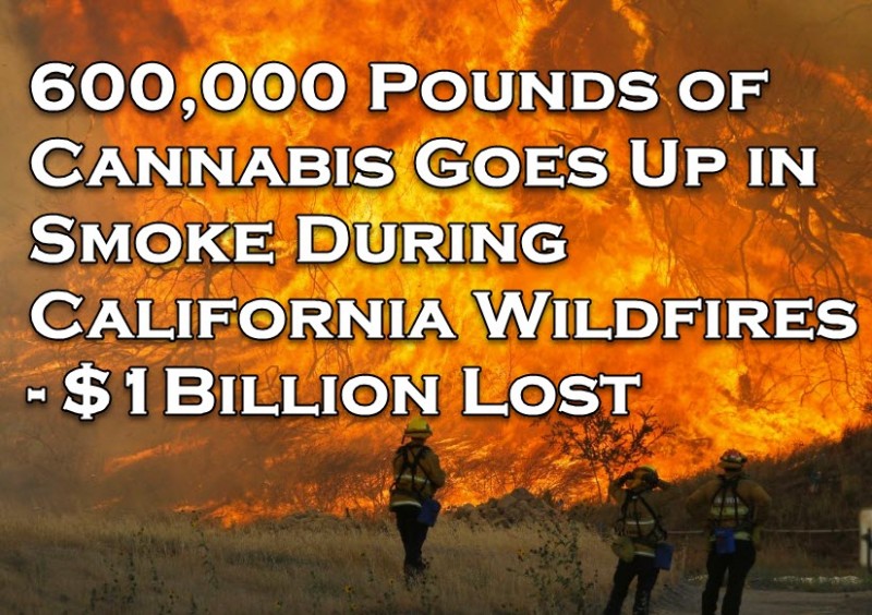 cannabis fire California