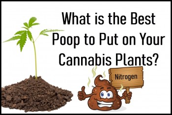 What is the Best Poop to Put on Your Cannabis Plants?