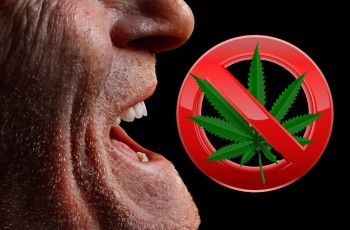 Seniors in Pain Want to Try Cannabis But the Past Stigma around the Plant Prevents Them from Trying It Says New Survey