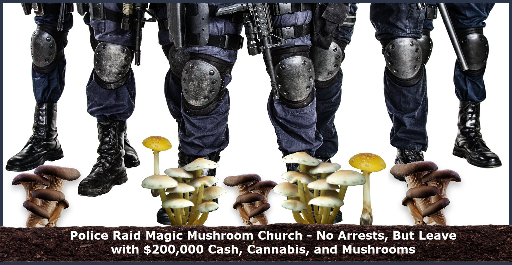 Police Raid Magic Mushroom Church No Arrests, But Leave