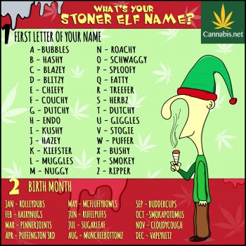 What is your Stoner Elf On A Shelf Name?