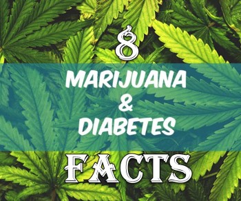 8 Facts About Cannabis and Diabetes