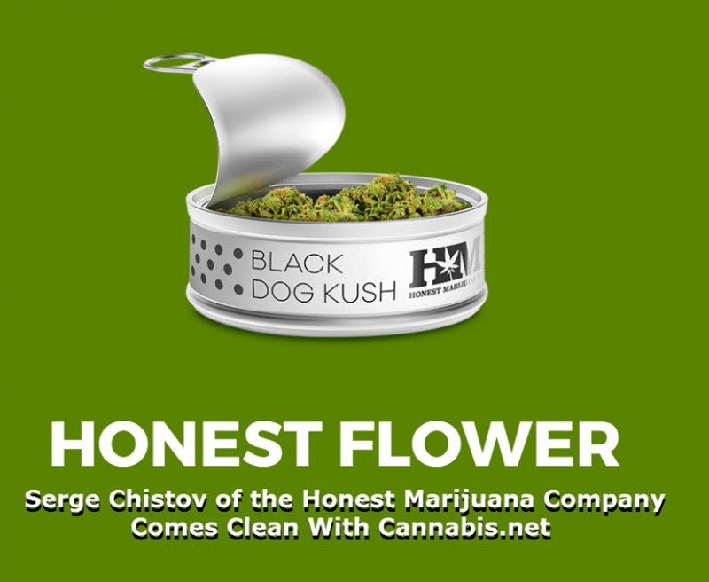 honest marijuana company