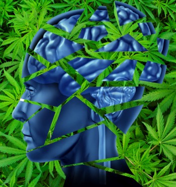 Does Smoking Cannabis Kill Your Brain Cells, Yes or No?  Science Speaks!