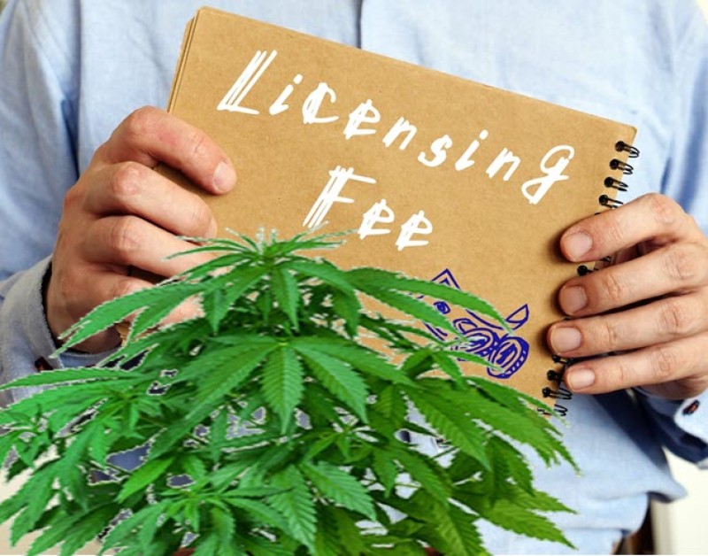 cannabis cultivation fees