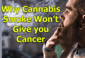 Why Cannabis Smoke Won’t Give you Cancer