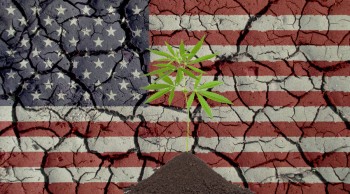 Not a Right or Left Issue - Why the US Needs to Legalize Marijuana After President Biden's Speech of Disunity