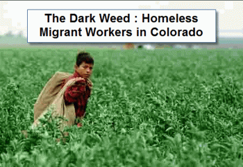 Dark Weed : Colorado’s Homeless Marijuana Migrants