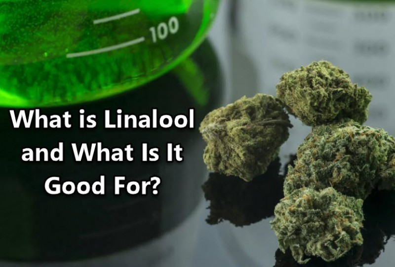 linalool cannabis