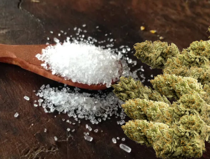 Epsom salt cannabis plants