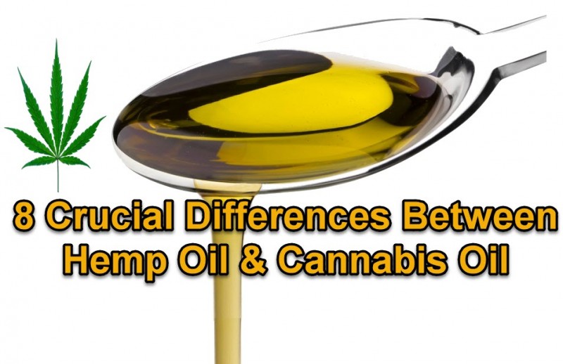 cannabis or hemp oil