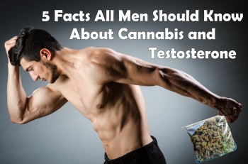 5 Facts All Men Should Know About Cannabis and Testosterone