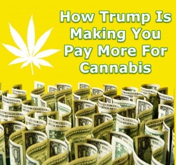 How Trump Is Making You Pay More For Cannabis