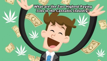 What are the Two Highest Paying Jobs in the Cannabis Industry?